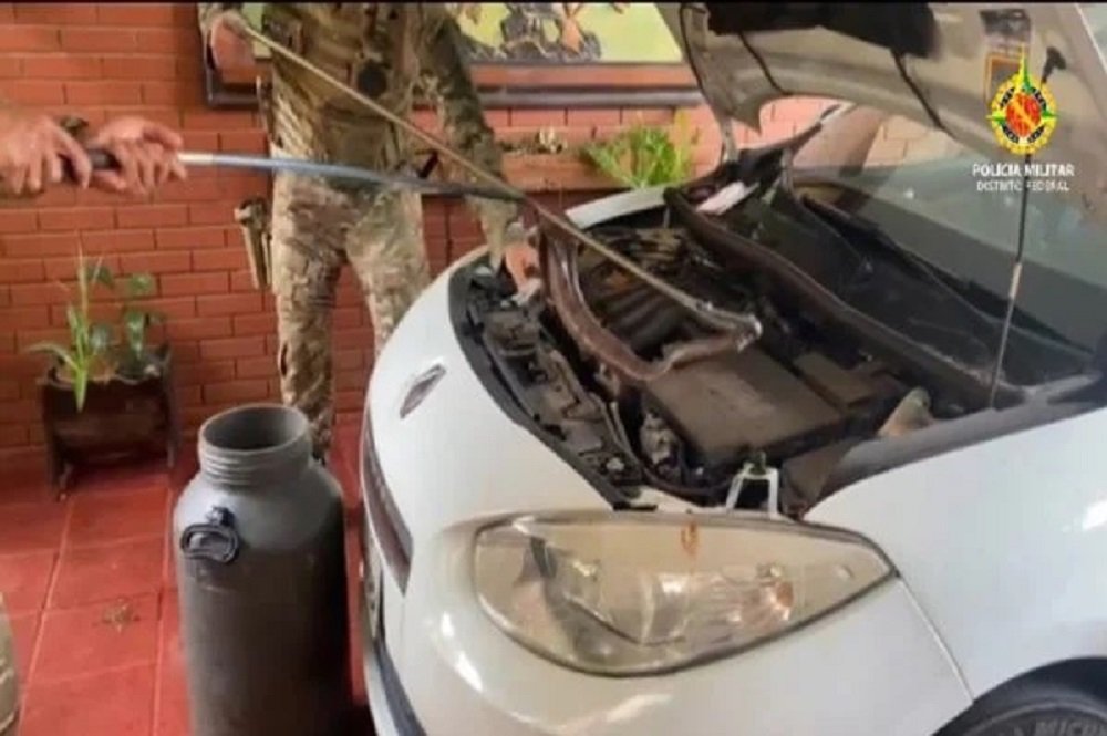 GIBOIA NO MOTOR DE CARRO DF